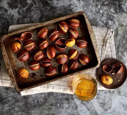 Learn How to Make Your Own Horse Chestnut Seed Oil With Amazing Guides