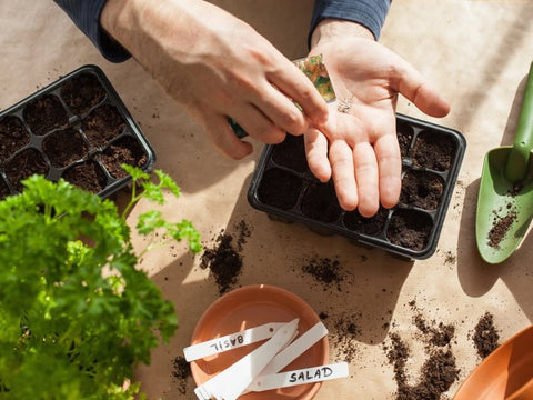 Did You Know: When To Start Seeds Indoors