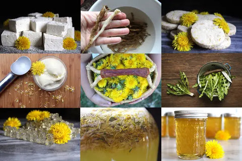 Dandelion flower recipes