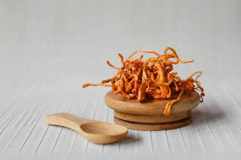 cordyceps militaris benefits