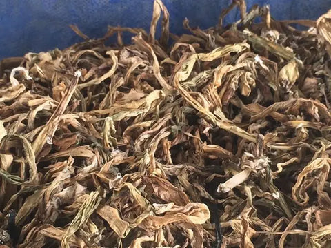 crinum latifolium tea