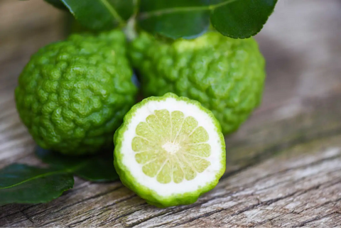 What is citrus bergamot good for?