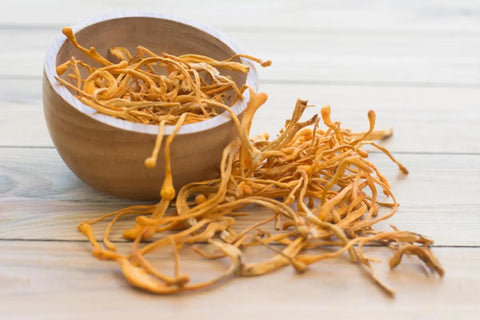 cordyceps militaris benefits