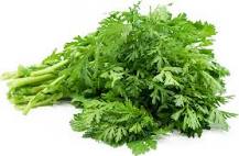 Chrysanthemum Leaves Information and Facts