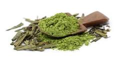 Is Consuming Green Tea Leaves Safe and Beneficial? – Japanese ...