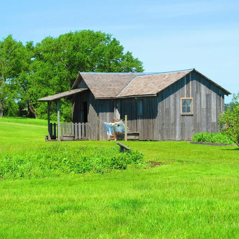 homestead & sustainable living