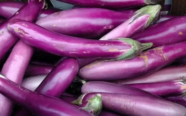 600 Seeds Long Purple Eggplant Seeds Non-GMO Vegetable Seeds aubergine seeds or brinjal seeds garden seeds - The Rike Inc