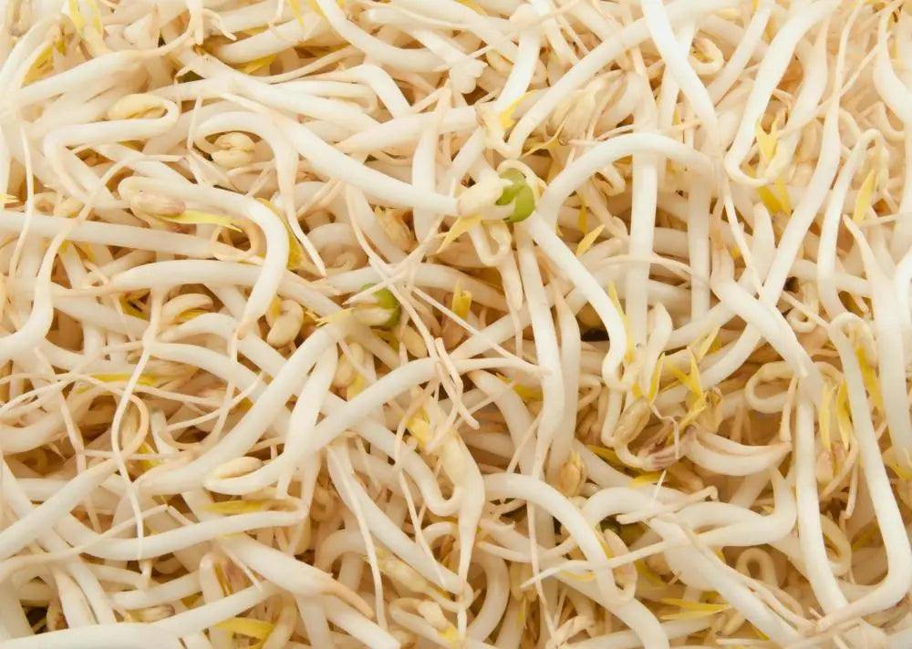 How Do I Choose the Best Mung Beans? (with pictures)