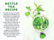 Dried Dead Nettle Tea Herbal Tea Lamium purpureum Purple Dead Nettle tea 100 gram Archangel Organic Purple Red Deadnettle