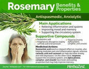 200 Seeds Rosemary Herb Seeds Rosemary Culinary Herb Seeds. Salvia rosmarinus. Non-GMO - The Rike Inc