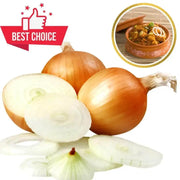 400+ Onions Seeds for Planting Allium cepa L. Vidalia Sweet Onion Seeds Evergreen White Bunching Onion Seeds, Scallions White Lisbon Onion Seeds Non GMO 100% USA Grown - The Rike Inc