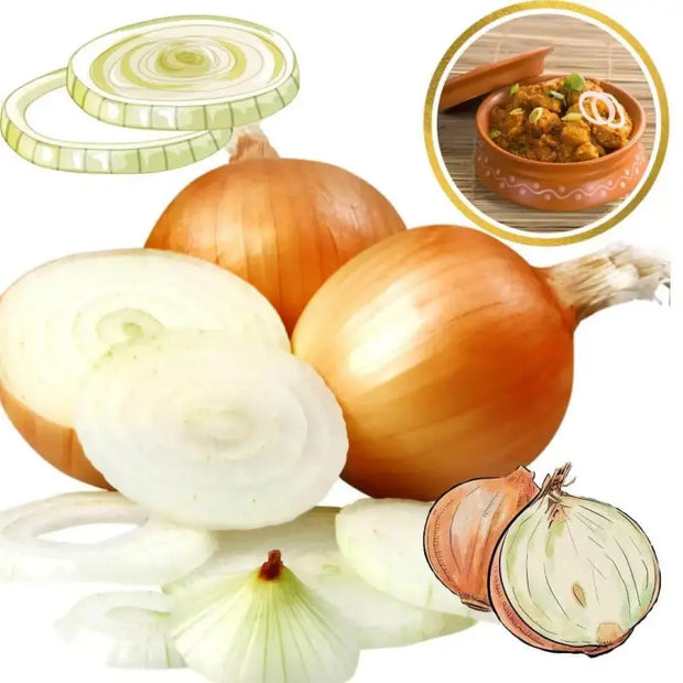 400+ Onions Seeds for Planting Allium cepa L. Vidalia Sweet Onion Seeds Evergreen White Bunching Onion Seeds, Scallions White Lisbon Onion Seeds Non GMO 100% USA Grown - The Rike Inc