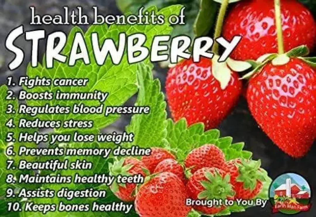 are strawberry seeds healthy 2 pack x 1200 seeds Organic Strawberry Seeds for Year-Round Planting