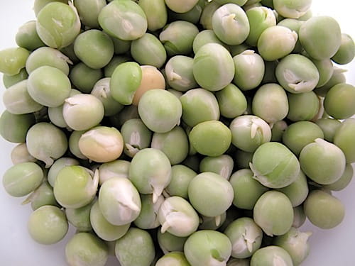 HOW TO SPROUT GREEN PEAS: A step-by-step growing guide