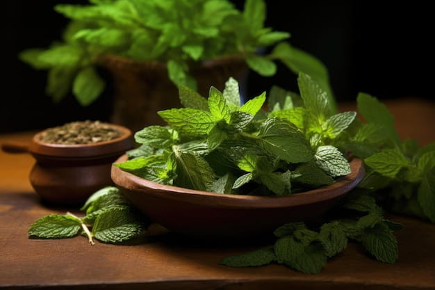 Premium Photo | Peppermint a traditional tea and herbal remedy derived from Mentha piperita