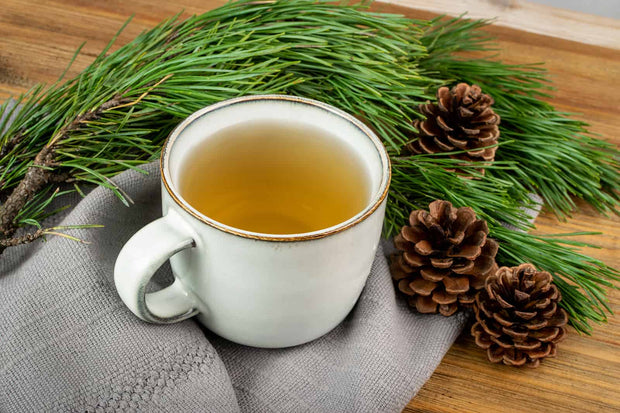 170 Gram (6 OZ) Dehydrated Eastern White Pine Needle Tea Herbal Tea Pine Needles Leaves Smudging Incense Pine Tea