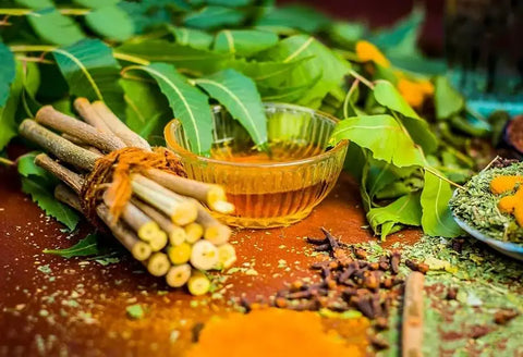 precautions and risks of neem