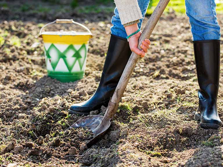 How to prepare your soil for spring planting - Saga