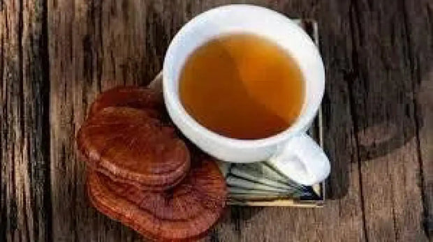 Dried Reishi Mushroom slices Raw Ganoderma Lucidum Top Grade Lingzhi Herbal Tea 100 Gram All-Natural - The Rike Inc