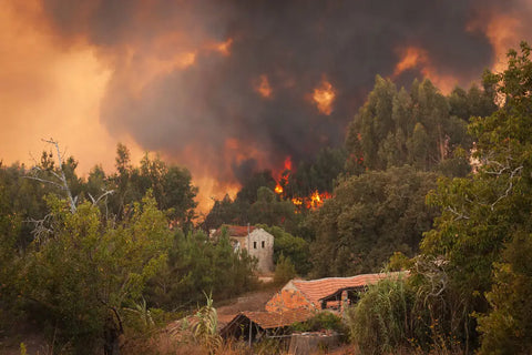 Wildfire Property Defense