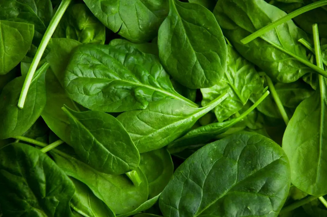 Spinach là rau gì? Lợi ích sức khỏe và giá trị dinh dưỡng | BSTT