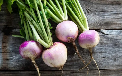 the-rike-turnips