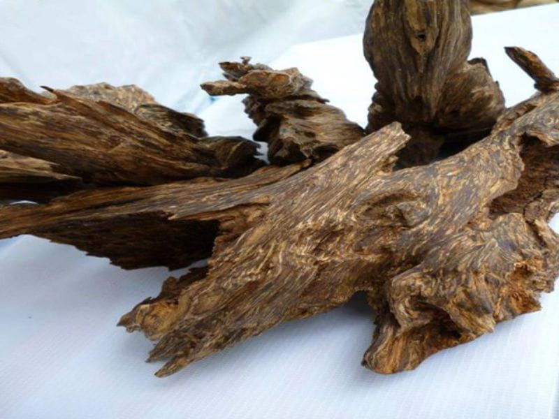 Gỗ trầm hương là gì? Có tốt không? Phân loại và tác dụng của gỗ trầm hương