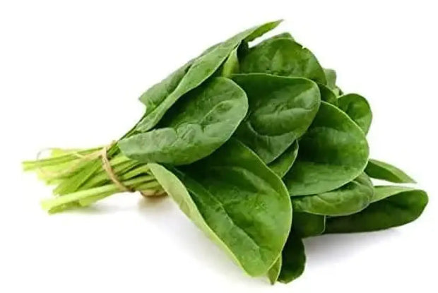 400 Spinach Seeds CAI bo xoi Seeds Spinacia oleracea Seeds Turkana Organic American Spinach Seeds Vegetable Seeds Slow Bolt Baby Greens Seeds - The Rike Inc