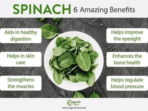 400 Spinach Seeds CAI bo xoi Seeds Spinacia oleracea Seeds Turkana Organic American Spinach Seeds Vegetable Seeds Slow Bolt Baby Greens Seeds - The Rike Inc