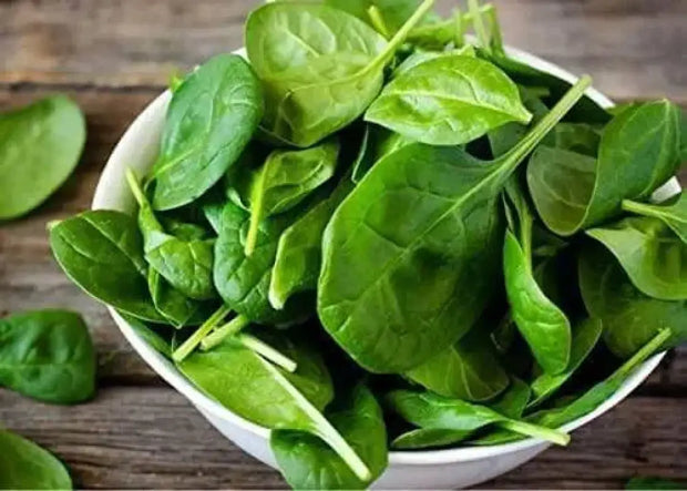 400 Spinach Seeds CAI bo xoi Seeds Spinacia oleracea Seeds Turkana Organic American Spinach Seeds Vegetable Seeds Slow Bolt Baby Greens Seeds - The Rike Inc