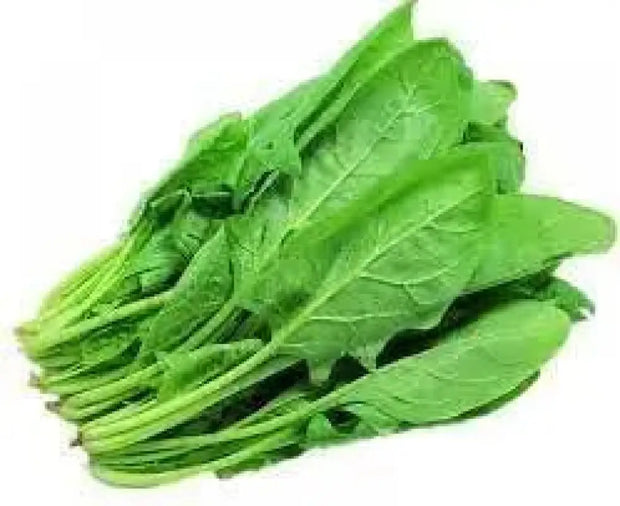 400 Spinach Seeds CAI bo xoi Seeds Spinacia oleracea Seeds Turkana Organic American Spinach Seeds Vegetable Seeds Slow Bolt Baby Greens Seeds - The Rike Inc