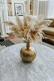 3000 Pampas Grass Seeds White Cortaderia Selloana Seeds Perennial Flowering ORNIMENTAL Grasses FEATHERY Blooms Wedding Holiday Festival Decor - The Rike Inc