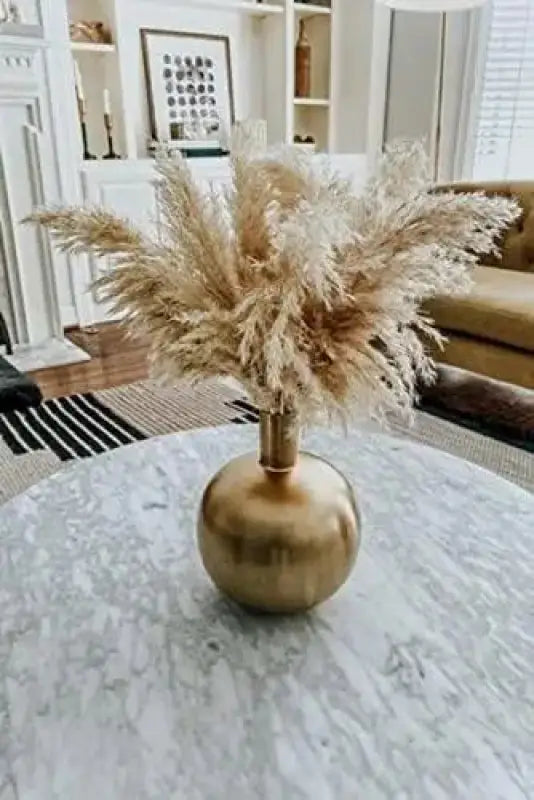 3000 Pampas Grass Seeds White Cortaderia Selloana Seeds Perennial Flowering ORNIMENTAL Grasses FEATHERY Blooms Wedding Holiday Festival Decor - The Rike Inc