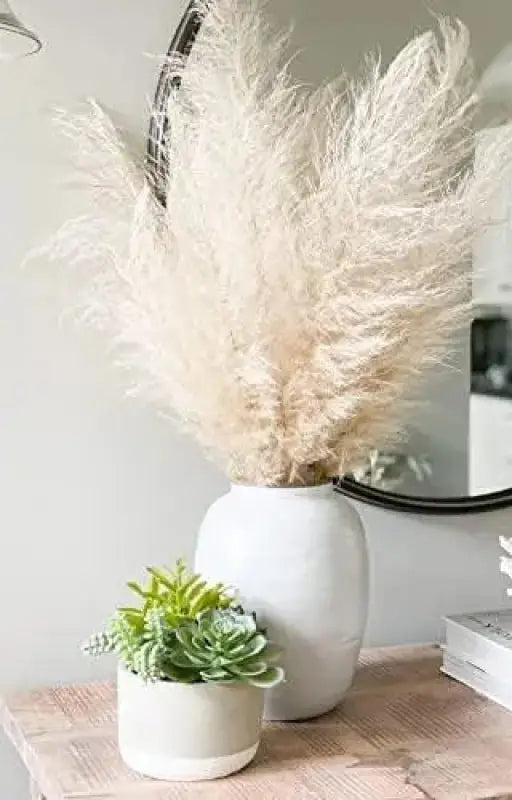 3000 Pampas Grass Seeds White Cortaderia Selloana Seeds Perennial Flowering ORNIMENTAL Grasses FEATHERY Blooms Wedding Holiday Festival Decor - The Rike Inc