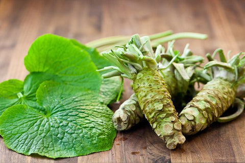 How to Grow Wasabi from Seed