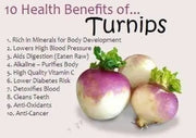 11000+ Turnip Seeds Purple Top White Globe Brassica rapa subsp. rapa. Purple Turnip Seeds