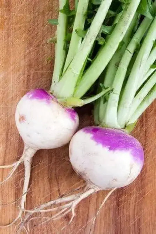 11000+ Turnip Seeds Purple Top White Globe Brassica rapa subsp. rapa. Purple Turnip Seeds