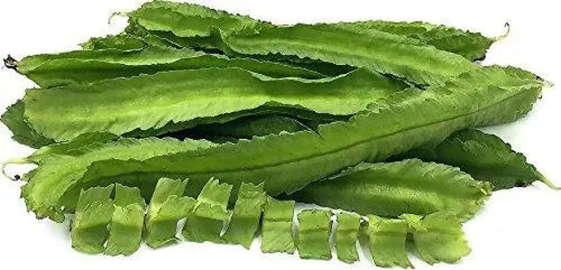 The Rike 30 Dragon Bean Vine Seeds Winged Beans Seeds Four Angled Bean or Manila Bean King Shire Winged Bean Asparagus Pea or Dau Rong Home - The Rike Inc