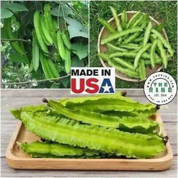 The Rike 30 Dragon Bean Vine Seeds Winged Beans Seeds Four Angled Bean or Manila Bean King Shire Winged Bean Asparagus Pea or Dau Rong Home - The Rike Inc