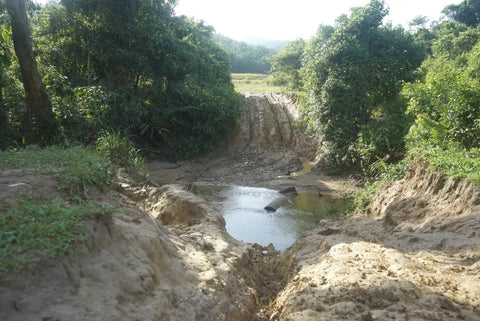 Muddy, eroded dirt path with water stream in Diên Khánh District, Vietnam.