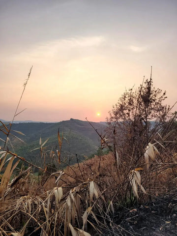 Sunset over rolling hills in Diên Khánh, Vietnam, with dry grass and lush vegetation.