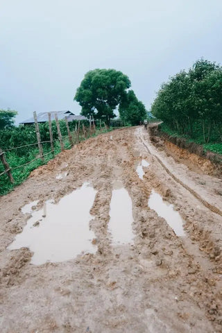 Muddy dirt road with puddles and tire tracks in Diên Khánh District, Vietnam.