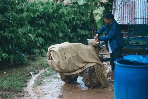 Person in blue jacket working with a covered object in rainy Diên Khánh, Vietnam.