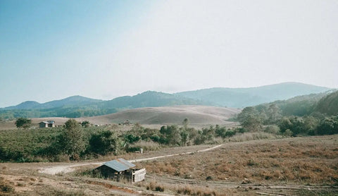 Rural landscape of rolling hills and sparse vegetation in Diên Khánh District, Vietnam.