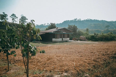 Simple house with a tin roof in a dry field, Diên Khánh District, Vietnam.