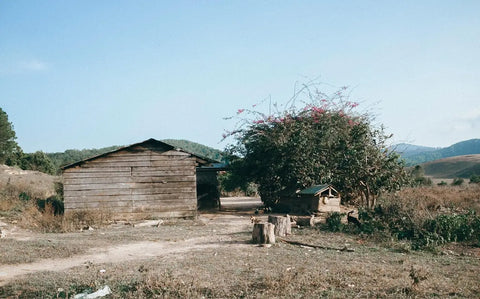 Weathered wooden shed with a peaked roof in rural Diên Khánh District, Vietnam.