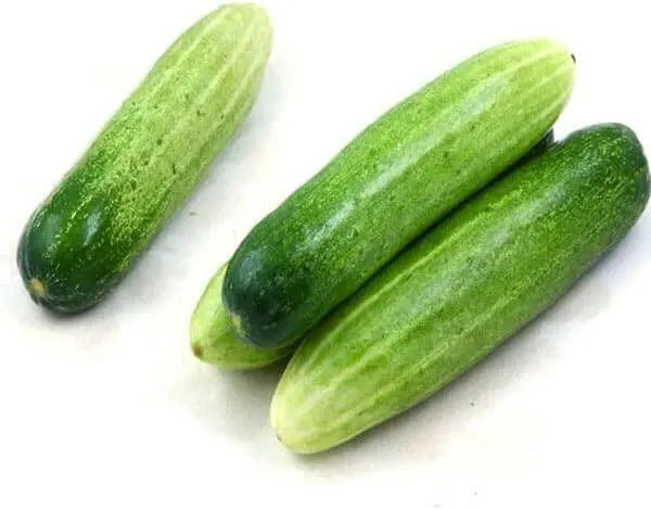 100 Cucumber Seeds Cucumis Sativus Seeds Vegetable Seeds, 100% Organic Non-GMO