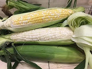 300 Seeds - Waxy Corn Seeds or Sticky Corn Seeds for Planting - Bap NEP Deo, Sweet Corn, Sticky Corn - Glutinous Corn or White Corn Sticky Sweet Corn Seeds - Non-GMO & Easy to Grow - The Rike Inc