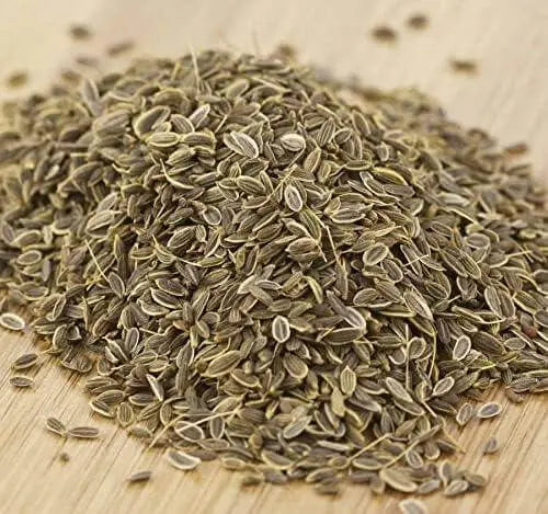 3000 Dill Seeds Organic Vegetable Seeds Herb Dill Plant Seeds Anethum graveolens - The Rike Inc