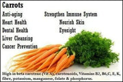 3000 Carrot Seeds Daucus Carota Seeds Non-GMO Vegetable Home Garden Seeds - The Rike Inc